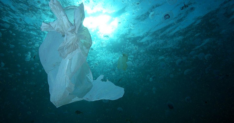3 de julio, Día Internacional Libre de Bolsas de Plástico, España tiene aún mucho que hacer