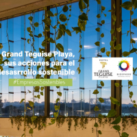 Hotel Grand Teguise Playa, sus acciones en términos de desarrollo sostenible
